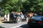  [4782692 bajt�w]