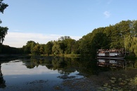 staw1.jpg