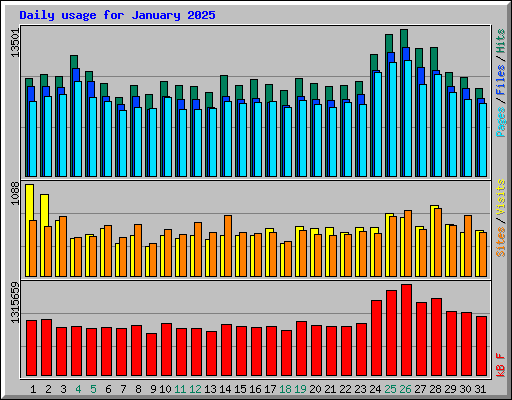 Daily usage for January 2025