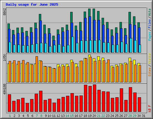 Daily usage for June 2025