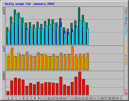 Daily usage for January 2026