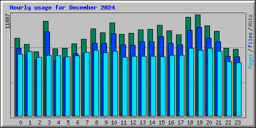 Hourly usage for December 2024