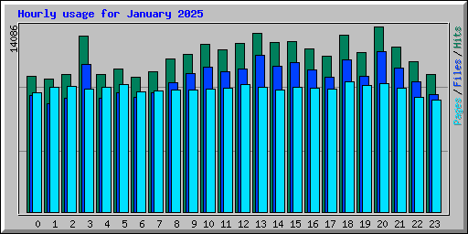 Hourly usage for January 2025