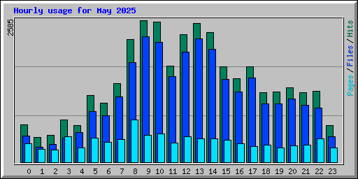 Hourly usage for May 2025