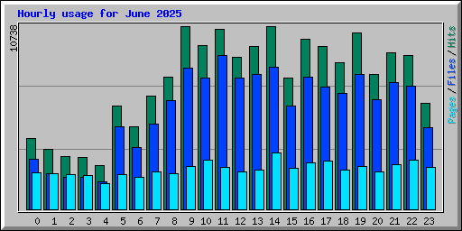 Hourly usage for June 2025