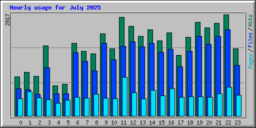 Hourly usage for July 2025