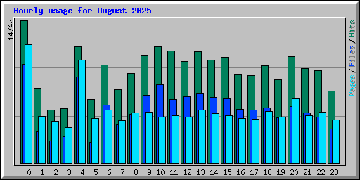 Hourly usage for August 2025