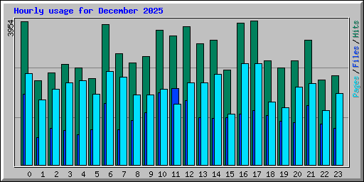 Hourly usage for December 2025