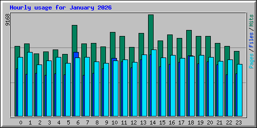 Hourly usage for January 2026
