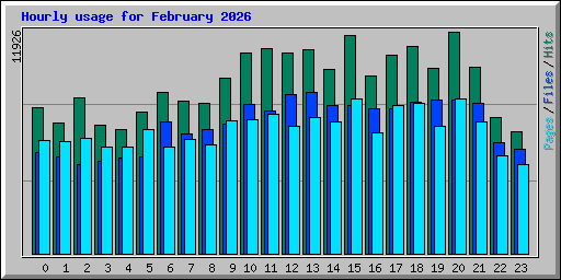Hourly usage for February 2026