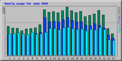 Hourly usage for June 2026