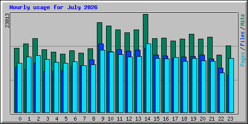 Hourly usage for July 2026