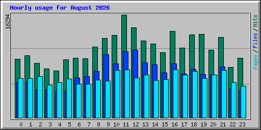 Hourly usage for August 2026